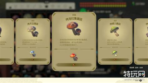 《蘑菇战争2》与生俱来的领袖——鲁多_蘑菇战争2_九游手机游戏