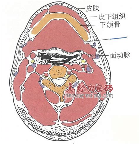 天容的准确位置图图片 天容的准确位置图图片