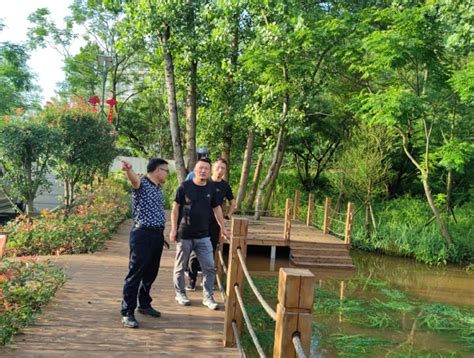 广丰丰溪湿地公园升级为江西省级湿地公园凤凰网江西_凤凰网