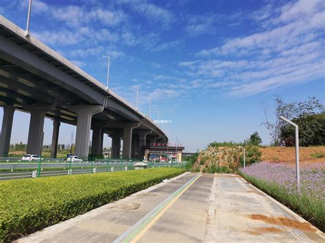 崇州市规划“一脉两轴三带五环”绿道体系引领公园城市建设_手机新浪网