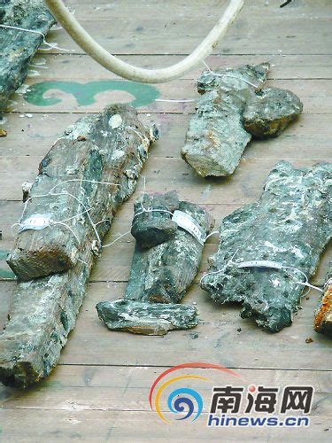 读创--“南海I号”南宋沉船水下考古等获2019全国十大考古新发现