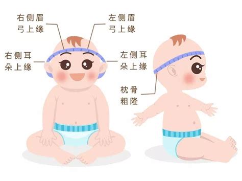 如何测量宝宝的头围_发育指标_小鲤鱼育儿