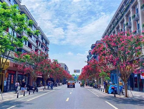 广西玉林城市图片,玉林城市图片,广西玉林(第2页)_大山谷图库