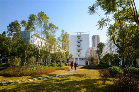 柳州工学院2023年广西普通类第一次征集情况-柳州工学院招生网