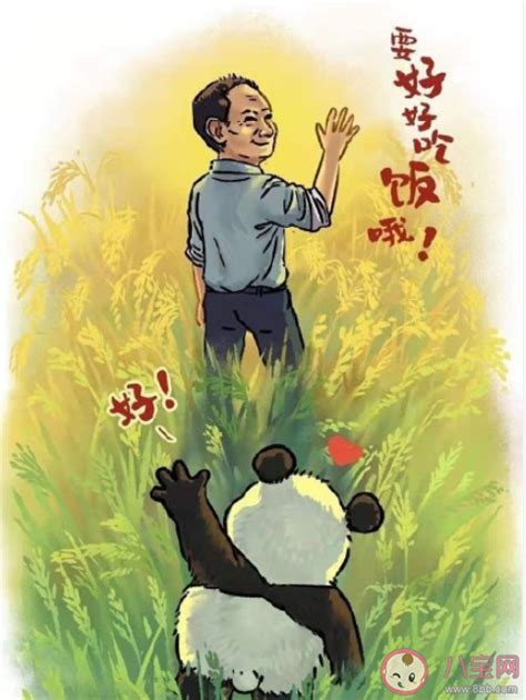 袁隆平：他把一生都奉献给了水稻和人民_凤凰网