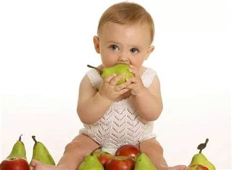 婴儿认知绘本:我们一起吃水果-精品畅销书-接力出版社