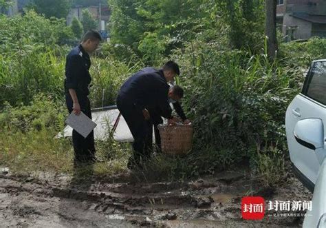 男婴被弃荒野 除了生日信息什么都没留下 - 四川教育报道网