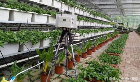 中国农业重点发展收货和采摘机器人_智慧农业-农博士农先锋网