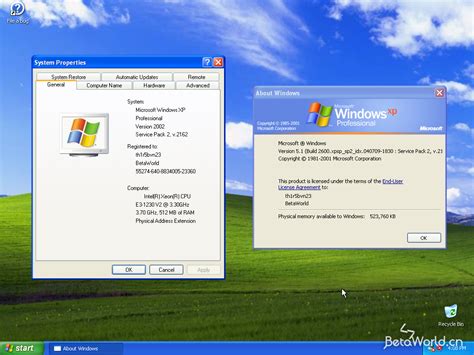 Windows XP:5.1.2600.2162.xpsp sp2 idx.040709-1830 - BetaWorld 百科