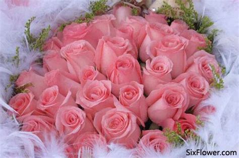 25朵玫瑰花语是什么，祝你幸福_花语大全 - 花卉种植 - 四季盆栽