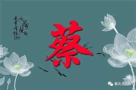 姓蔡头像非主流