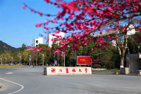 浙江农林大学_Zhejiang A & F University