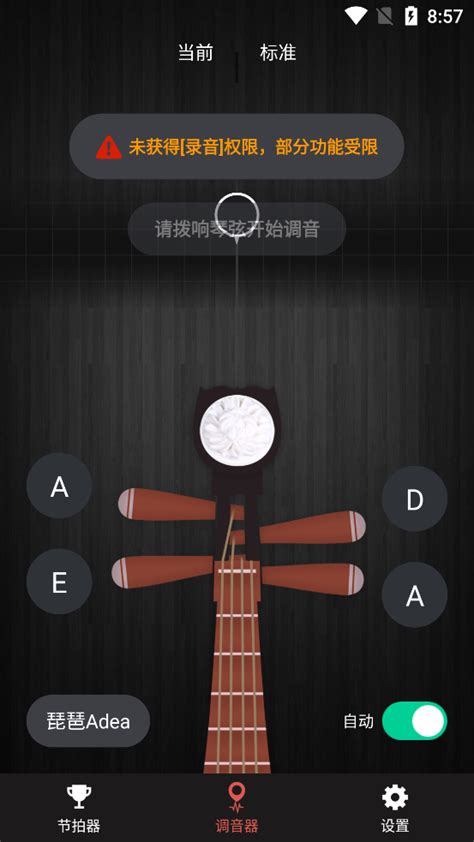 琵琶调音神器app下载安装最新版-琵琶调音神器app官方免费下载v1.0.1 安卓版-007游戏网