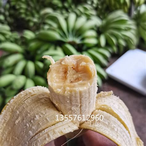广西新鲜大芭蕉 香蕉新鲜包邮 酸甜芭蕉 大蕉牛角蕉 巴蕉皮绿芭蕉-淘宝网