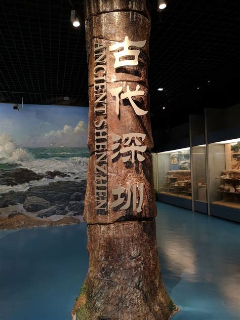 2022深圳博物馆现在开放吗（持续更新）- 深圳本地宝