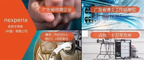 安世半导体(中国)有限公司2022年校园招聘简章-河南工业大学 就业信息网