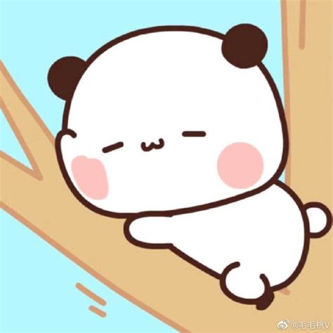 小熊猫一二壁纸图片