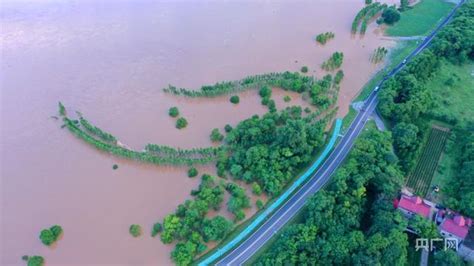 洪水来袭水位上涨 江西泰和多地成“孤岛”_凤凰网
