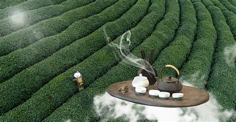 瓷茶中国传统茶汤茶道陶杯茶文化摄影图图片-包图网