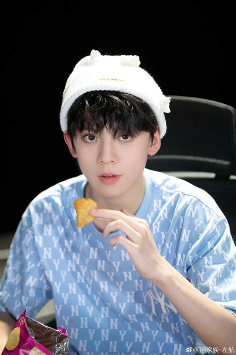 TF家族-左航图片