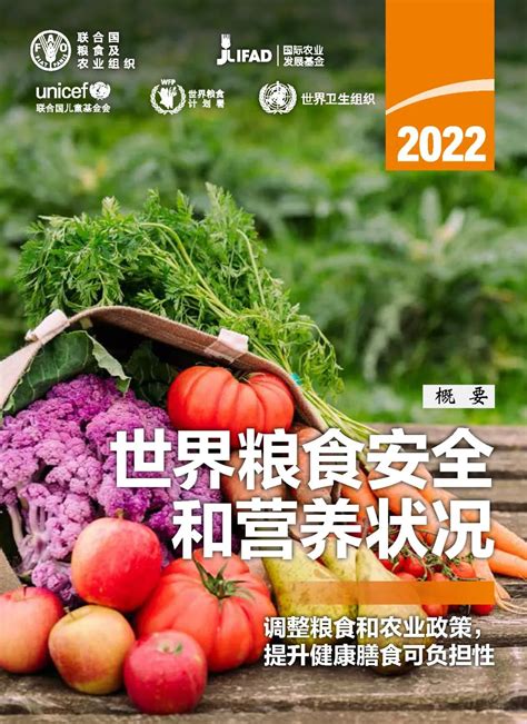 《2022年世界粮食安全和营养状况》发布