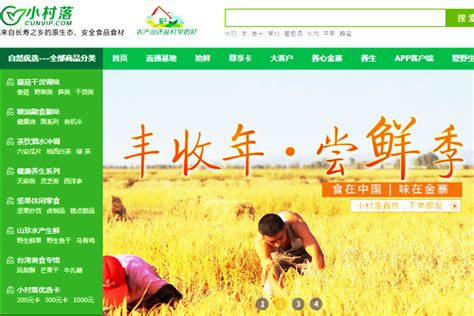 金寨县首家O2O农产品与农业旅游电商平台建成_安徽频道_凤凰网