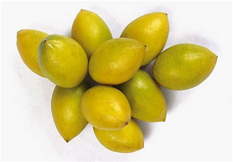 橄榄的功效和作用有哪些？橄榄的常见做法介绍，直接放口中生嚼有何效果 - 果百汇网