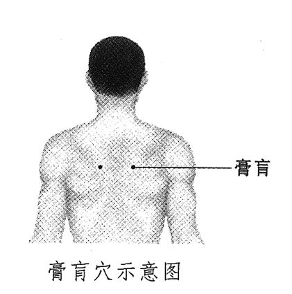 心脏导联接的位置图,心导联位置示意图,心五导联位置示意图(第3页)_大山谷图库