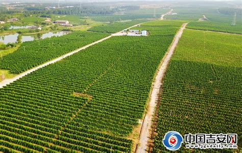 科学网—中国农业：小农户还是大农场？ - 蒋高明的博文