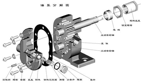 齿轮油泵的具体结构和用途 - 温州弘凌泵阀有限公司