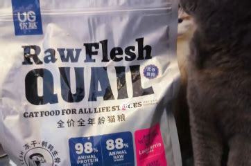 有哪些猫粮适合肠胃敏感的猫？ - 知乎