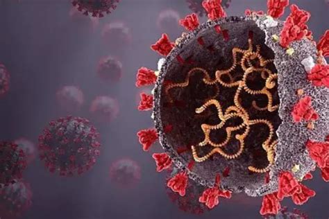 新冠肺炎成为第一个全球“大流行”的冠状病毒传染病
