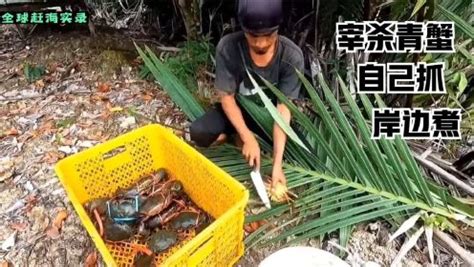 印尼红树林抓青蟹，有没有五斤大你们说了算，这才是东南亚青蟹王_腾讯视频