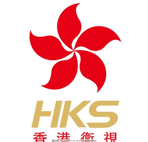 一文读懂香港的分行、子公司和代表处：主要区别-香港公司-佰顺国际