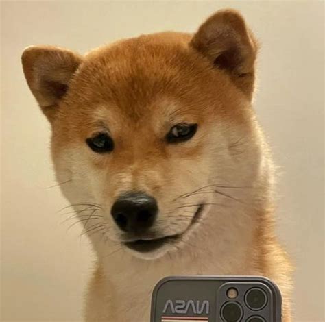 狗子非主流头像女生