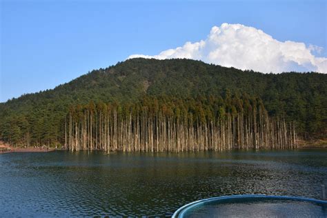 航拍江西宜春袁山公园昌黎阁_3840X2160_高清视频素材下载(编号:7077571)_实拍视频_光厂(VJ师网) www.vjshi.com