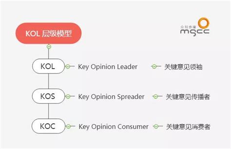 众引传播KOL/KOS/KOC营销矩阵，赋能品牌KOL精准投放_凤凰网