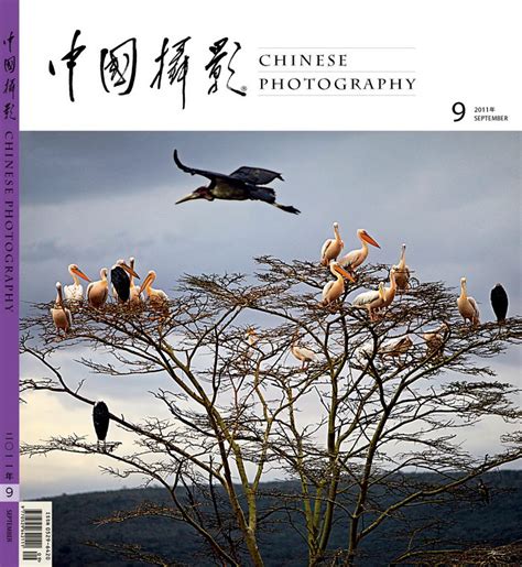 中国摄影报入选作品 - 诠摄汇