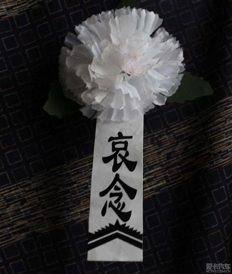 雪莉一路走好图片