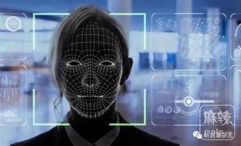 AI换脸诈骗，戳中了人脸识别企业的哪些软肋？|AI换脸|算法|AI_新浪新闻