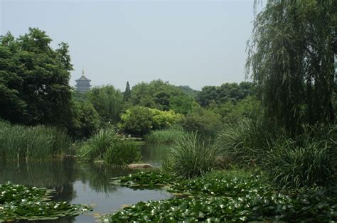 自然生态，极简未来 — 深圳前海桂湾公园标识导视设计_城市_潮水_图形