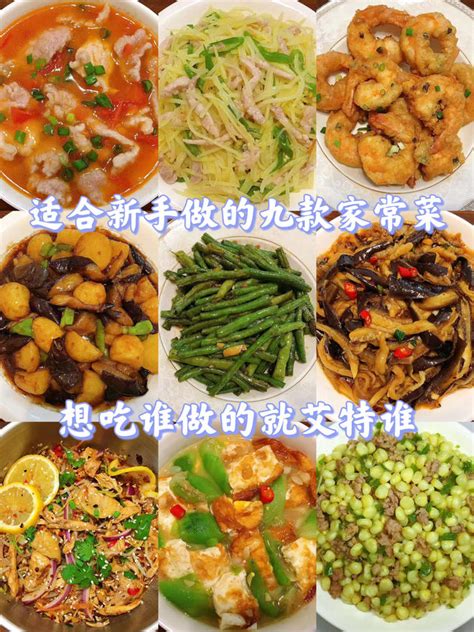8菜1汤菜谱,家常菜菜,素菜菜大全_大山谷图库