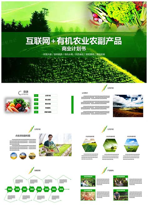 互联网+绿色发展 智慧现代化农业商业计划书PPT模板_MASEFAT工作室-站酷ZCOOL
