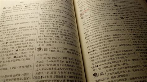 汉语詈词研究图册_360百科