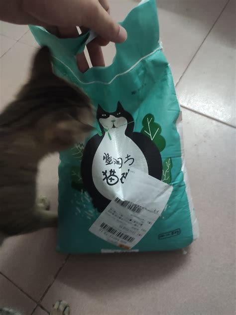 喵喵酱图片