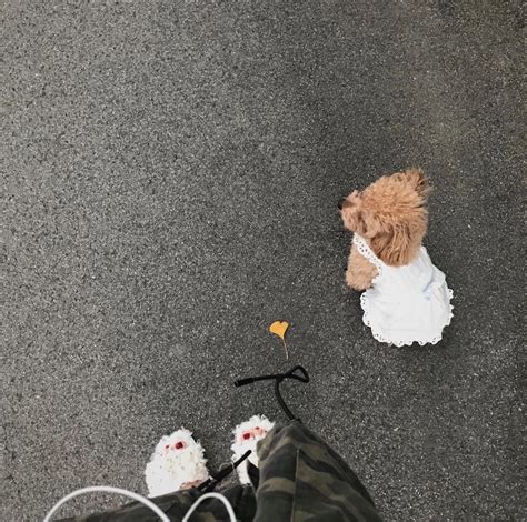 inss风背景图图片