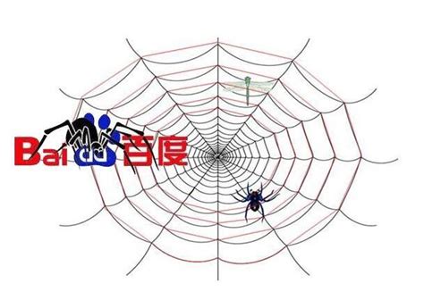 网站蜘蛛池怎么做的（seo蜘蛛池快速收录）-8848SEO