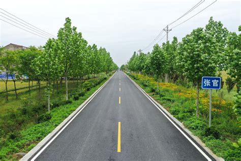 农村公路超1.1万公里！惠州4大举措推进“四好农村路” 建设 - 广东省交通运输厅