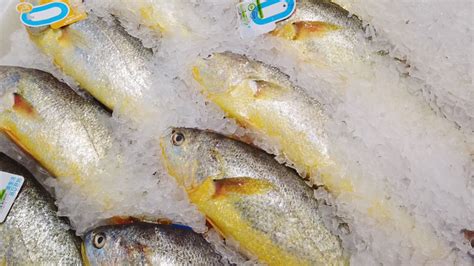 海鲜市场摊档各种生鲜鱼的高角度静物包括在冷冰床上却的鳐鱼鲮藏摊位高清图片下载-正版图片308047819-摄图网