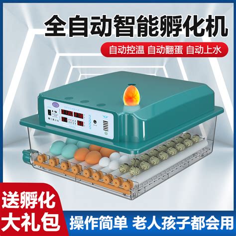 孵化器小型家用全自动LED小鸡蛋孵化机芦丁鸡智能孵化养殖设备箱_虎窝淘